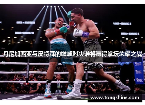 丹尼加西亚与皮特森的巅峰对决谁将赢得拳坛荣耀之战