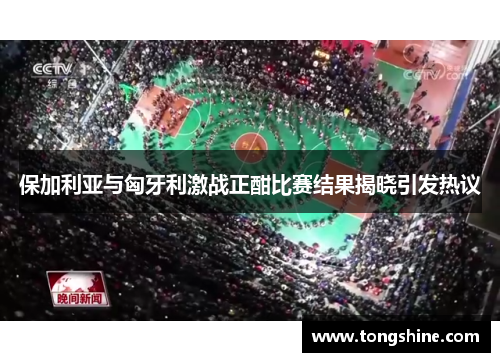 保加利亚与匈牙利激战正酣比赛结果揭晓引发热议